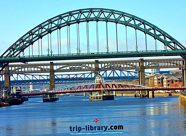12 attrazioni turistiche top-rated a Newcastle-upon-Tyne