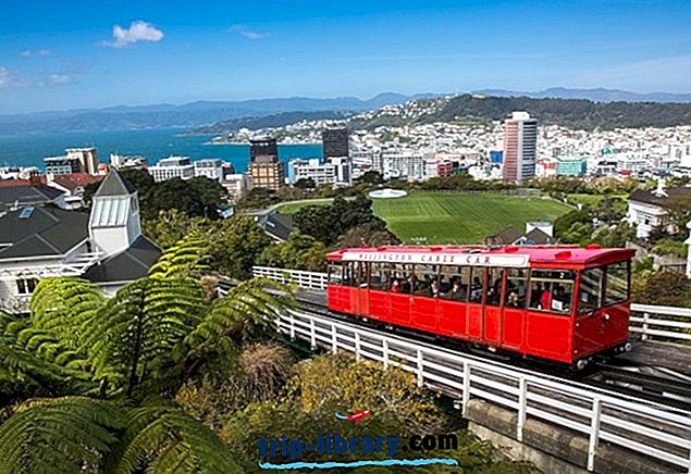 14 Nejlépe hodnocené turistické atrakce ve Wellingtonu