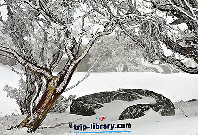 Utforska de största attraktionerna i Snowy Mountains, NSW