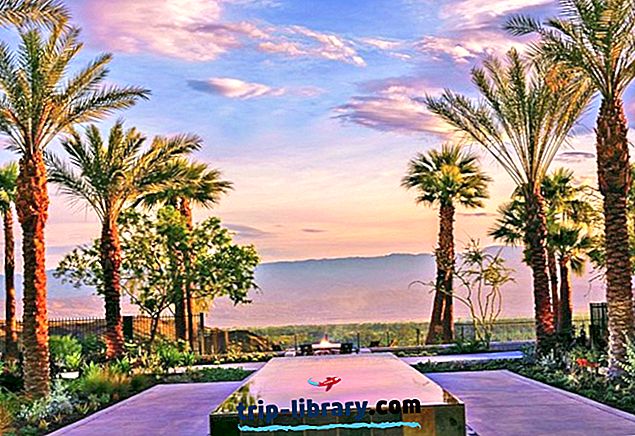16 beste hotels in Palm Springs