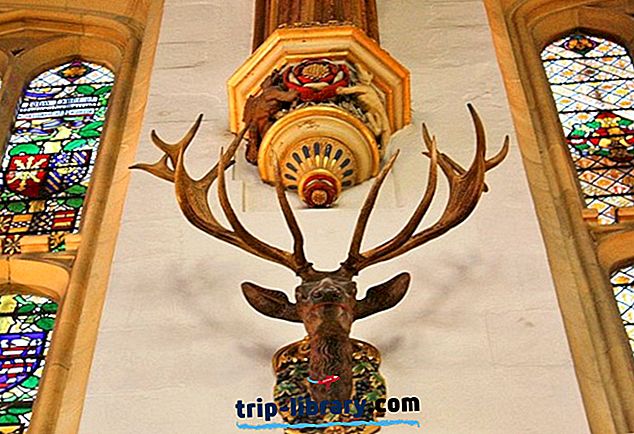 زيارة قصر هامبتون كورت: 10 معالم سياحية ، نصائح وجولات