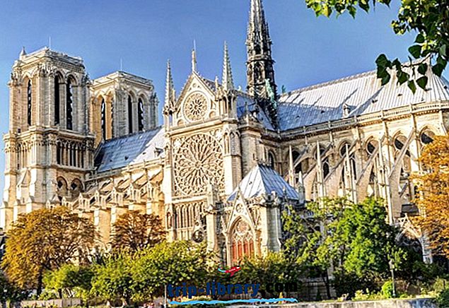 Visitar la catedral de Nuestra Señora de París: atracciones, consejos y visitas