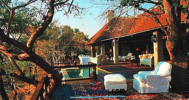 10 najwyżej ocenianych luksusowych domków safari w Republice Południowej Afryki, 2018 r
