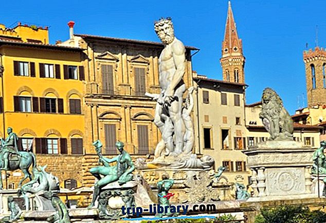 Raziskovanje Piazza della Signoria v Firencah: Vodič za obiskovalce