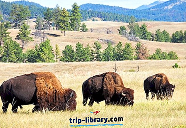 9 Top-hinnatud turismiobjektid Custeris, Lõuna-Dakotas