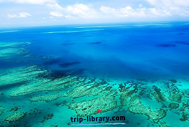 11 Najwyżej oceniane atrakcje turystyczne i atrakcje w Cairns