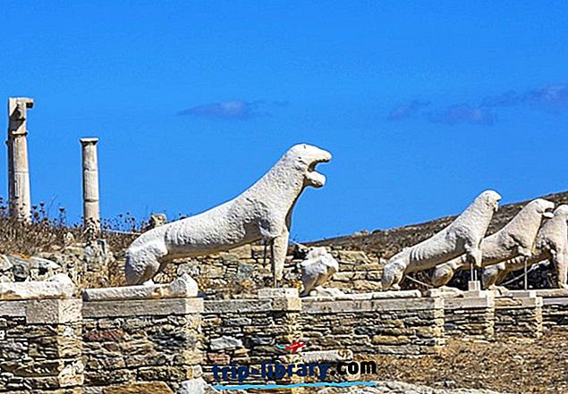 8 Top-bewertete Touristenattraktionen und Aktivitäten auf Delos