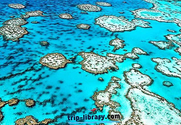 Mengunjungi Great Barrier Reef: 11 Objek Wisata Terbaik & Hal yang Dapat Dilakukan