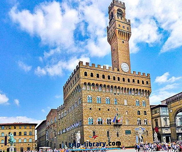 Firenzen 9 huippuluokan palatsin tutkiminen: vierailijan opas