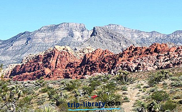 7 เดินป่าติดอันดับต้น ๆ ในเขตอนุรักษ์แห่งชาติ Red Rock Canyon