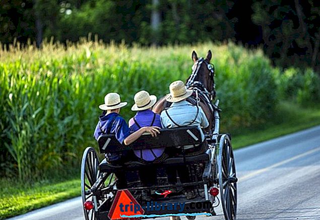 Quốc gia Amish của Ohio: 12 Điểm nổi bật và Kho báu ẩn giấu
