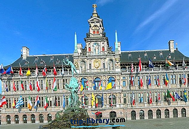 12 najwyżej ocenianych atrakcji turystycznych w Antwerpii